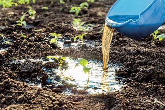 natural farming and healthy soil at Arka Acres