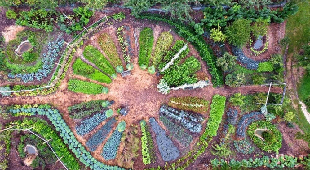 Permaculture